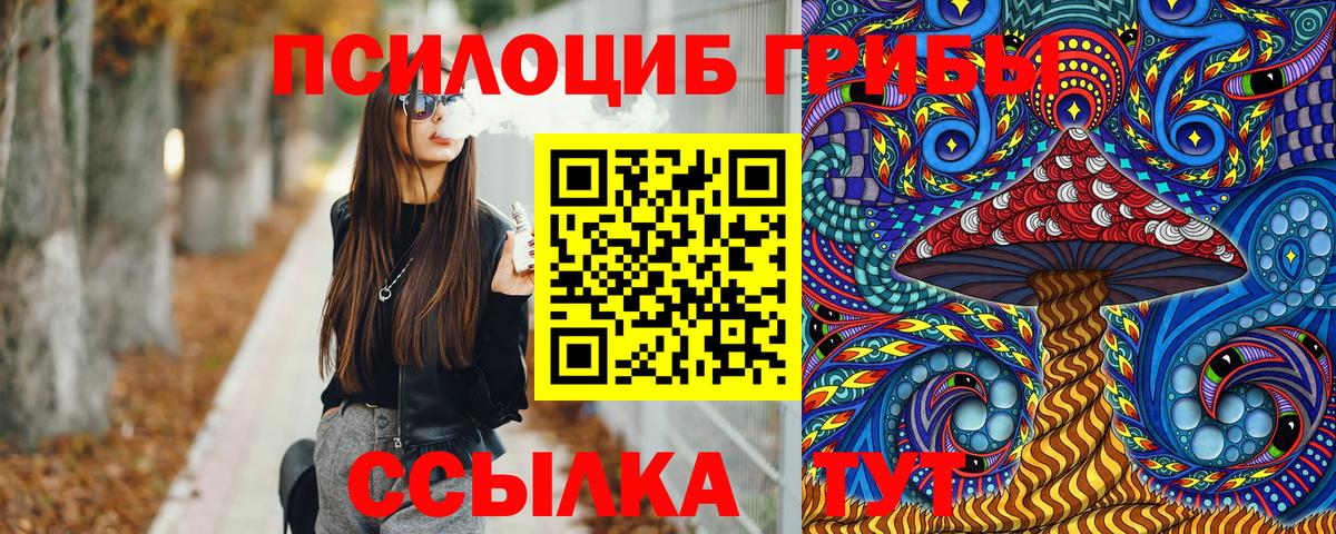 Псилоцибиновые грибы GOLDEN TEACHER Сосновоборск